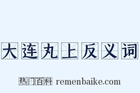 大连丸上反义词是什么意思的图片